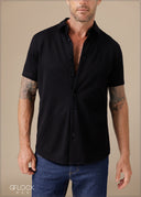 Solid Striped Polo Shirt - 260326