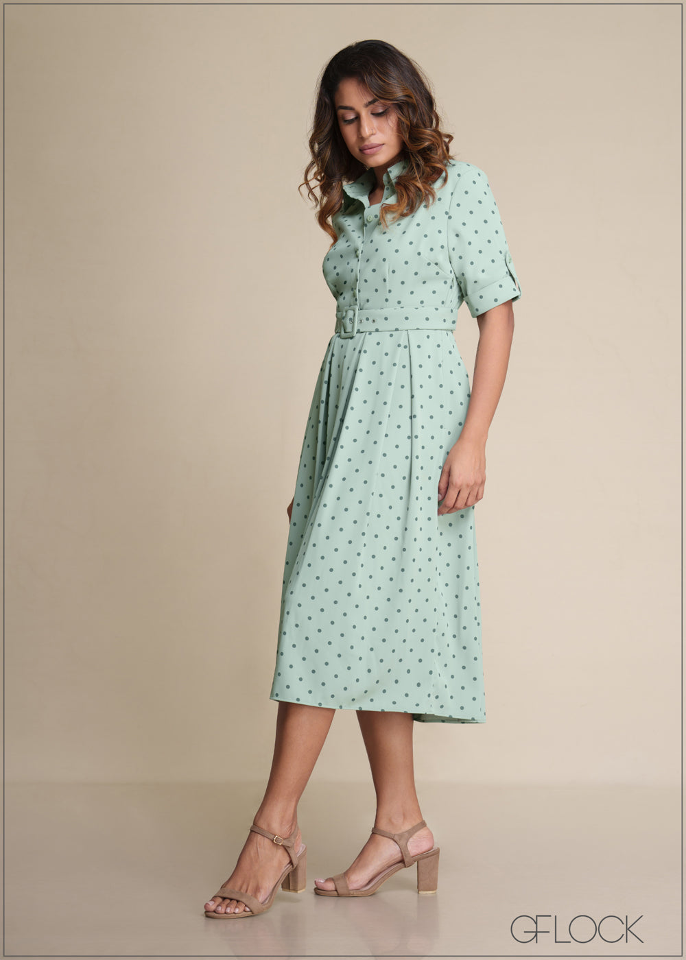 Polka Dot Printed Dress - 180825