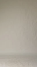 Wide Leg jean - Short Length - 230226D